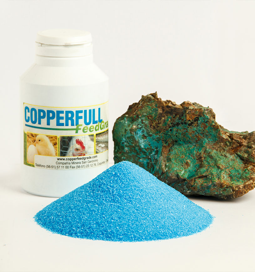copperfull-1